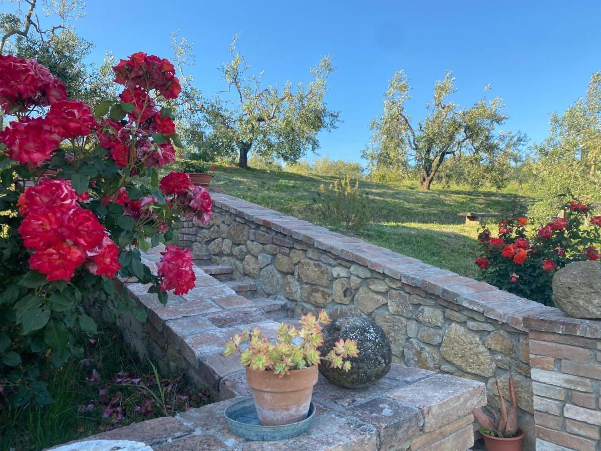 Agriturismo Casallario Volterra Exterior foto